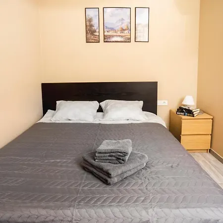 Apartamento Cozy Kaunas